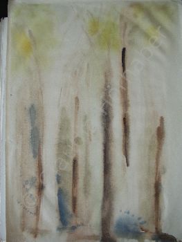 Aquarell P3140104