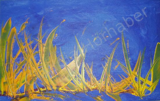 Acryl segelboote